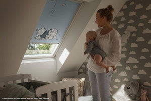 disney velux