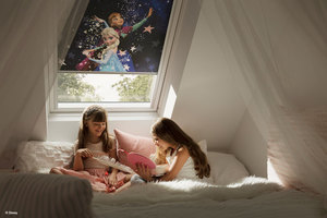 disney velux Frozen