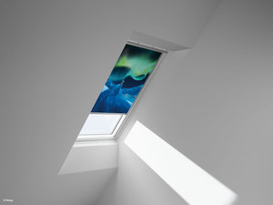 disney velux