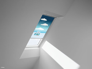 disney velux