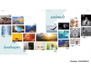 Estores Impresion Digital animals