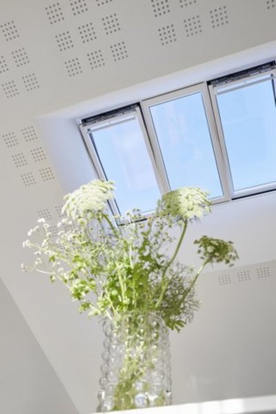 Velux Studio 3 en 1 en  salon