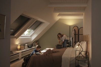 Persiana Exterior VELUX